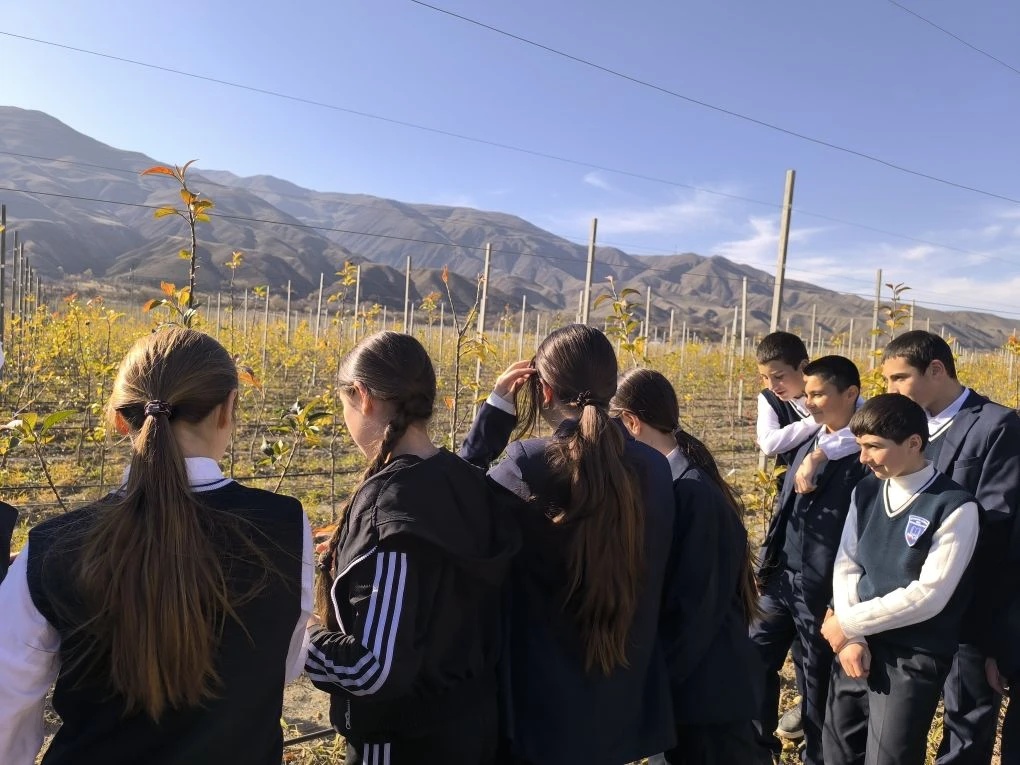 Экскурсия в уникальный высокогорный яблоневый сад с. Ахты Экскурсия в уникальный высокогорный яблоневый сад с. Ахты.