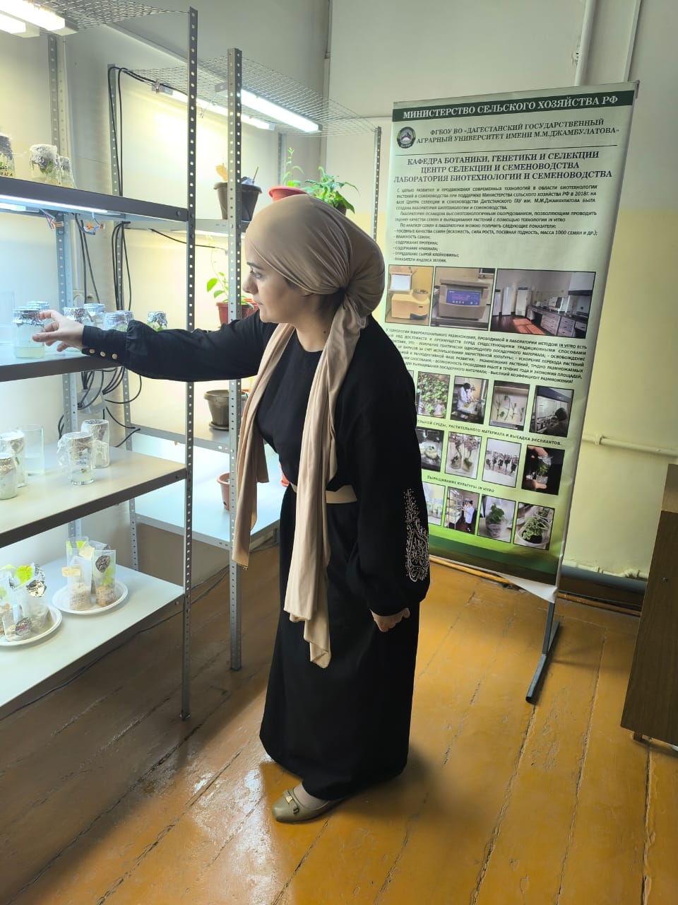 обучение обучение.