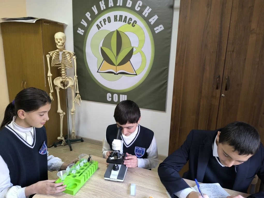 « Вредители сельскохозяйственных культур» « Вредители сельскохозяйственных культур».