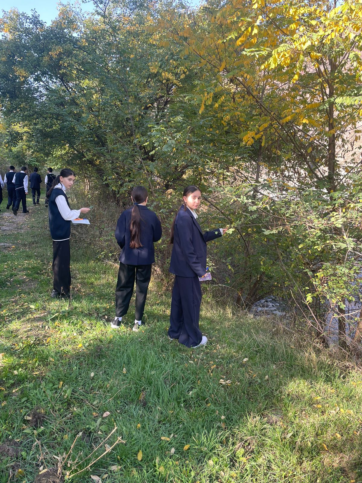 Урок литературы в 7 классе "Поэзия родной природы".