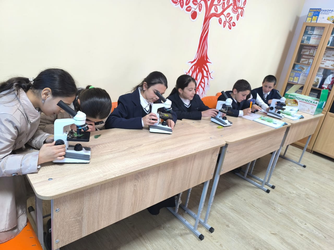 Интересные уроки биологии в Точке роста.