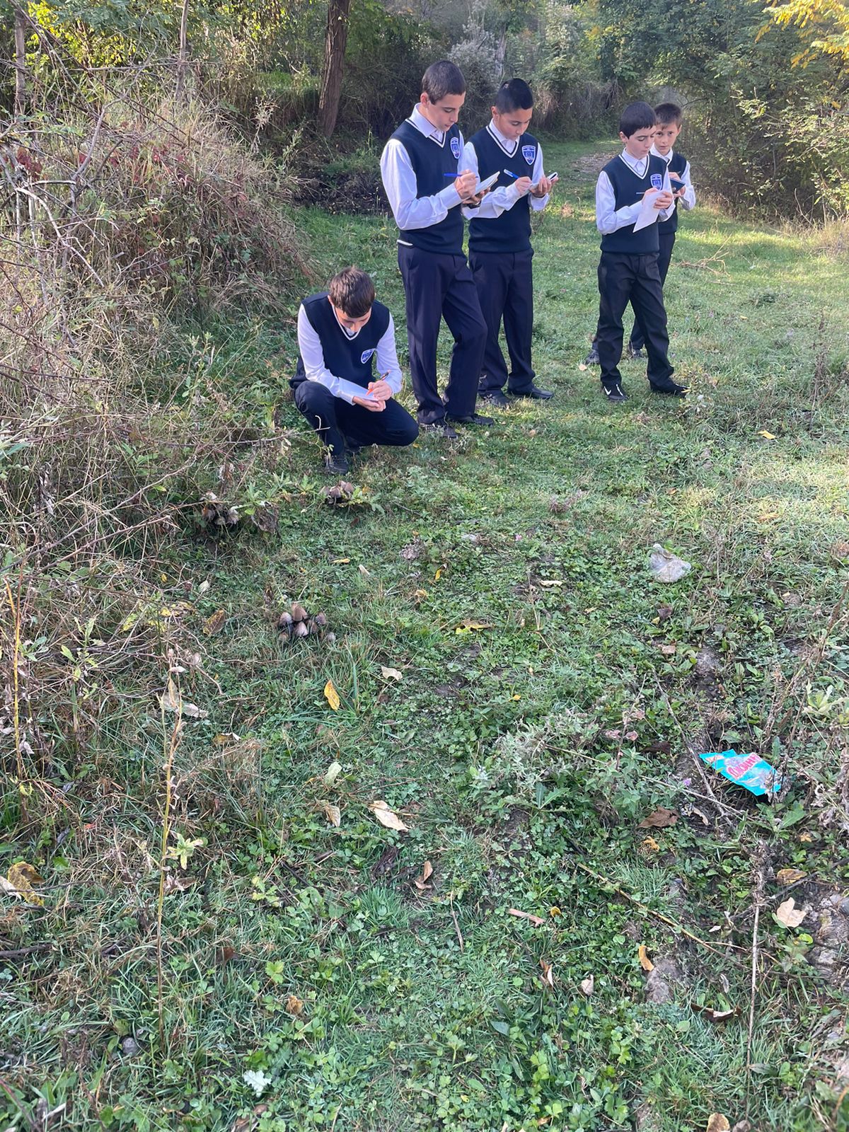 Урок литературы в 7 классе &amp;quot;Поэзия родной природы&amp;quot;.